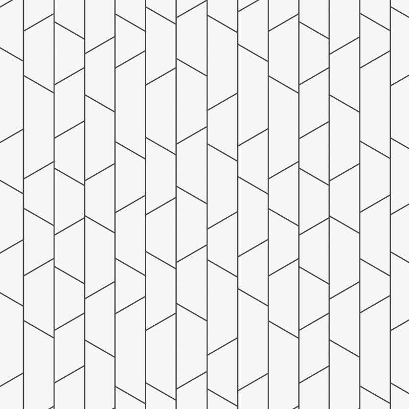 Schumacher Wallpaper 8821 Angle Black On White