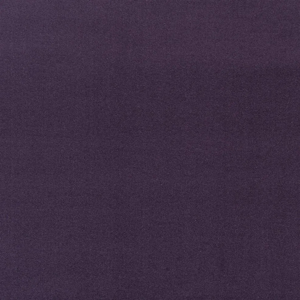 FRL5161-07 English Riding Velvet Purple by Ralph Lauren