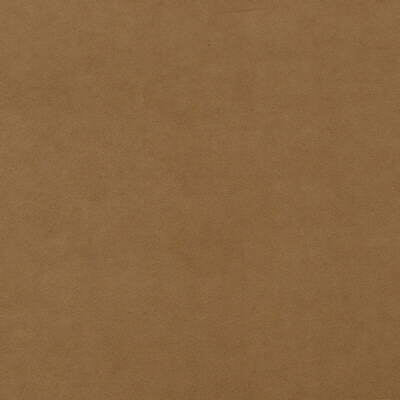 Mulberry Fabric FD514.6616 Forte Suede Spice