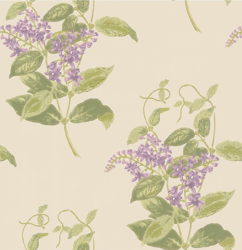 Cole & Son Wallpaper 100/12056.CS Madras Violet Olive & Lavender