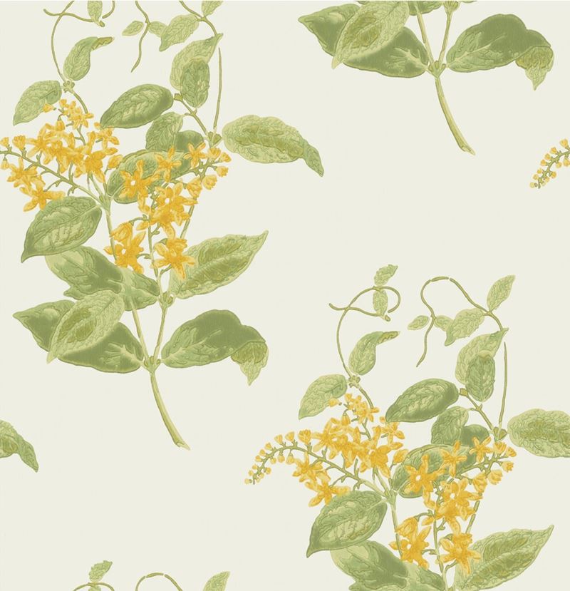 Cole & Son Wallpaper 100/12059.CS Madras Violet Yellow
