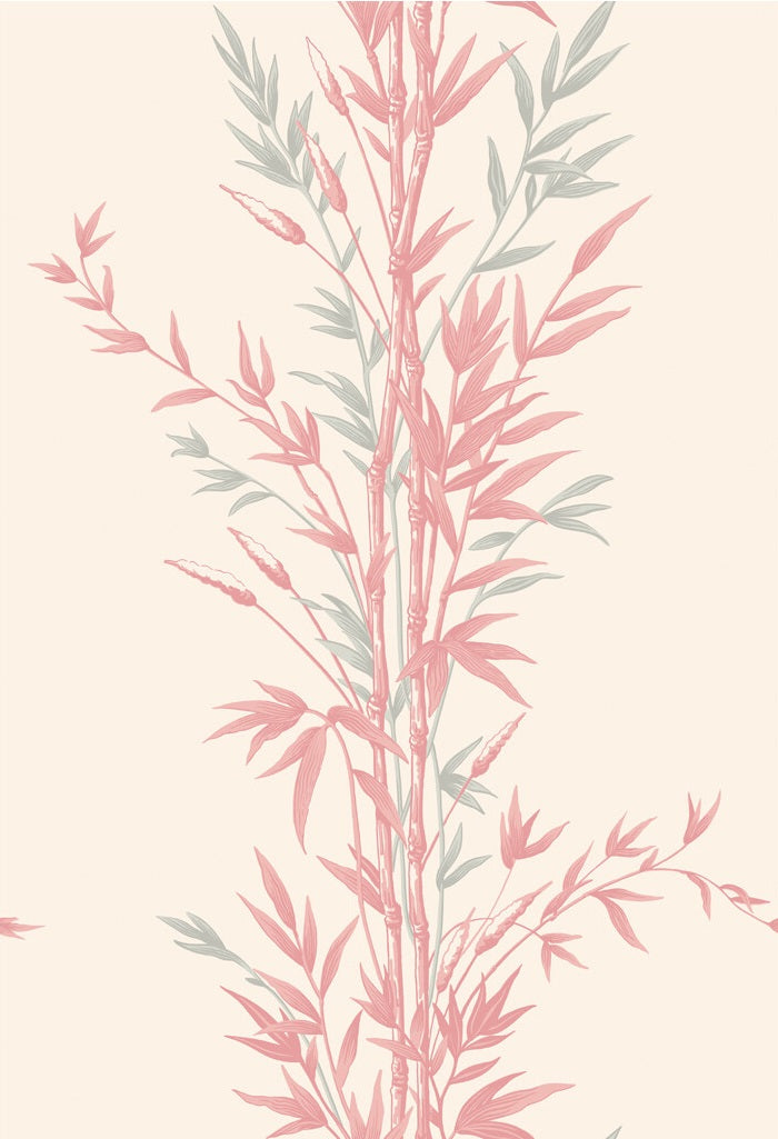 Cole & Son Wallpaper 100/5024.CS Bamboo Pink