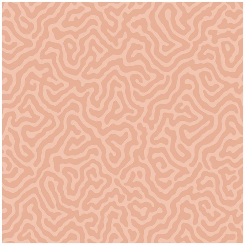 Cole & Son Wallpaper 106/5075.CS Coral Salmon