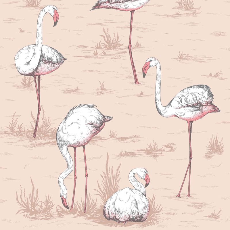 Cole & Son Wallpaper 112/11039.CS Flamingos Plaster Pink