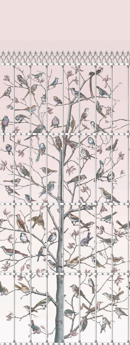 Cole & Son Wallpaper 114/11022.CS Uccelli Ballet Slipper