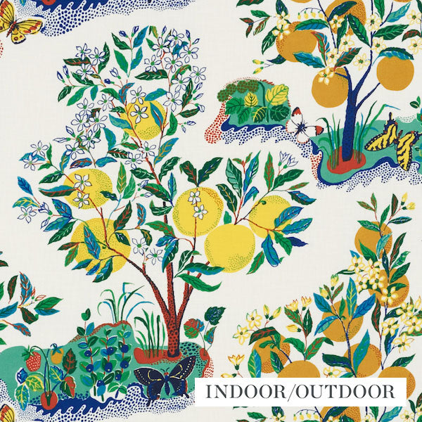 Schumacher Fabric 177330 Citrus Garden Indoor/Outdoor Primary