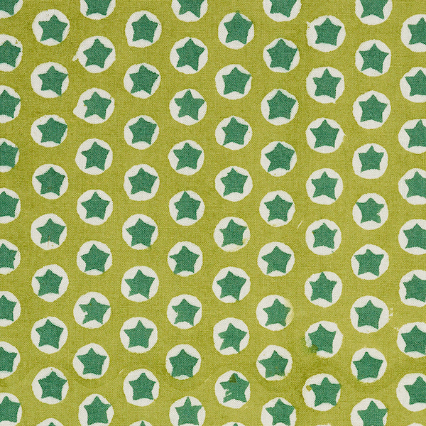 Schumacher Fabric 179223 Tuk Tuk Green