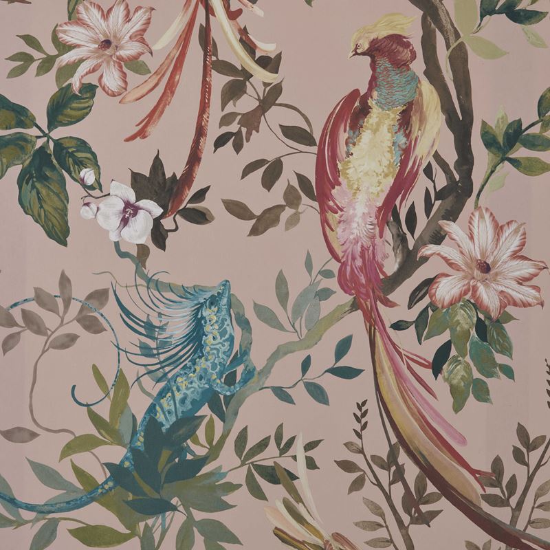 Maxwell Wallpaper 210915703 Bird Sonnet Blush