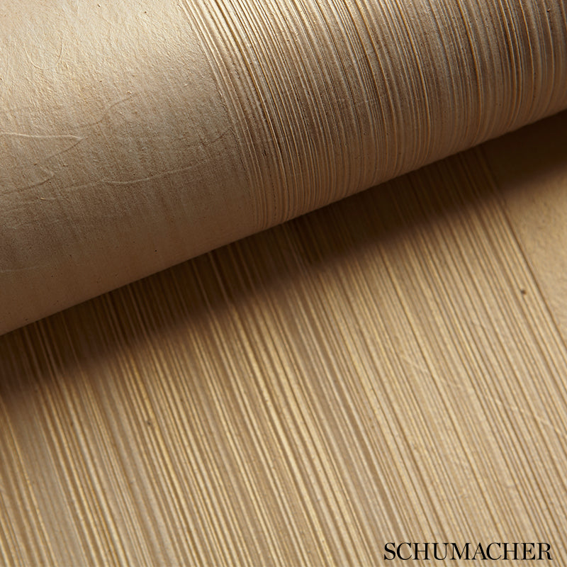 Schumacher Wallpaper 2707120 Casual Brush Ivory