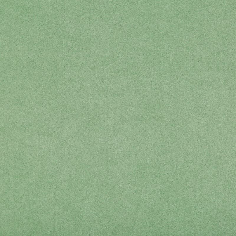 Kravet Design Fabric 30787.303 Ultrasuede Green Sprig