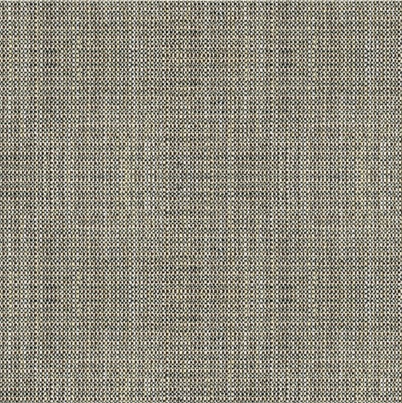 Kravet Basics Fabric 33788.81 Rafael Coal