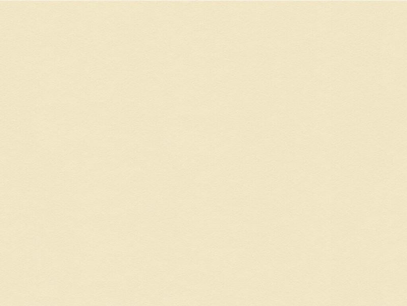 Kravet Couture Fabric 34121.1001 Suede Texture Bisque
