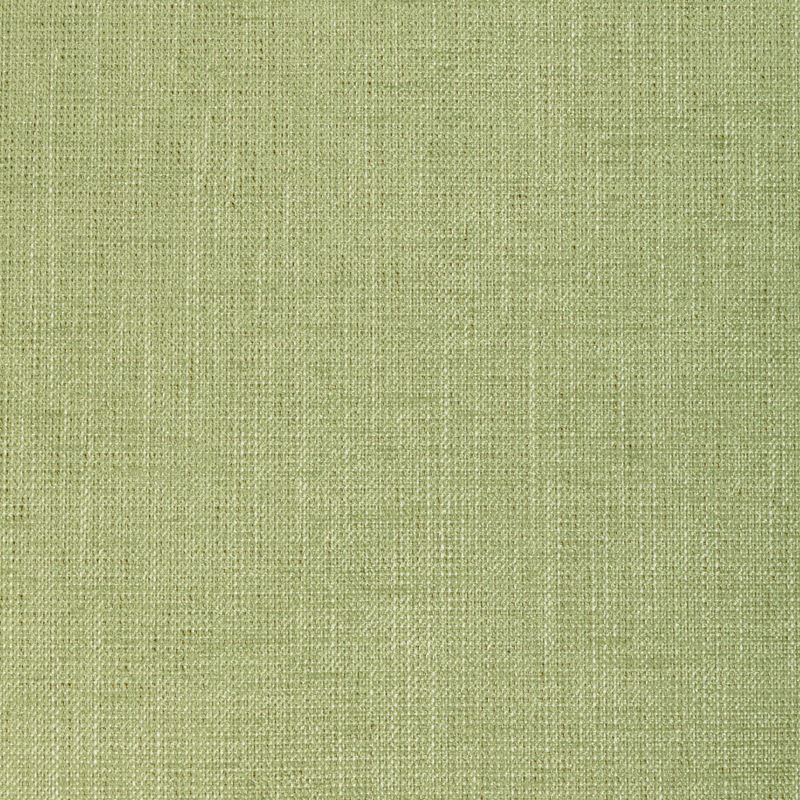 Kravet Basics Fabric 36649.23 Poet Plain Leaf