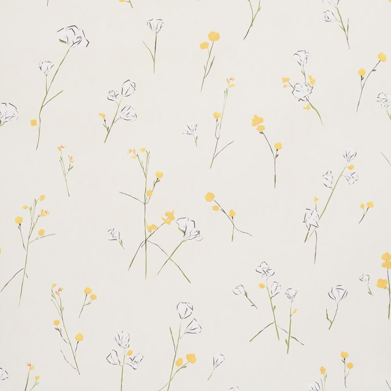 Schumacher Wallpaper 5016400 Alex's Floral Daffodil