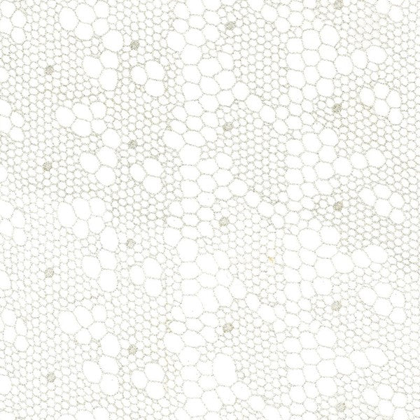 Schumacher Fabric 55490 Tracery Lace Silver