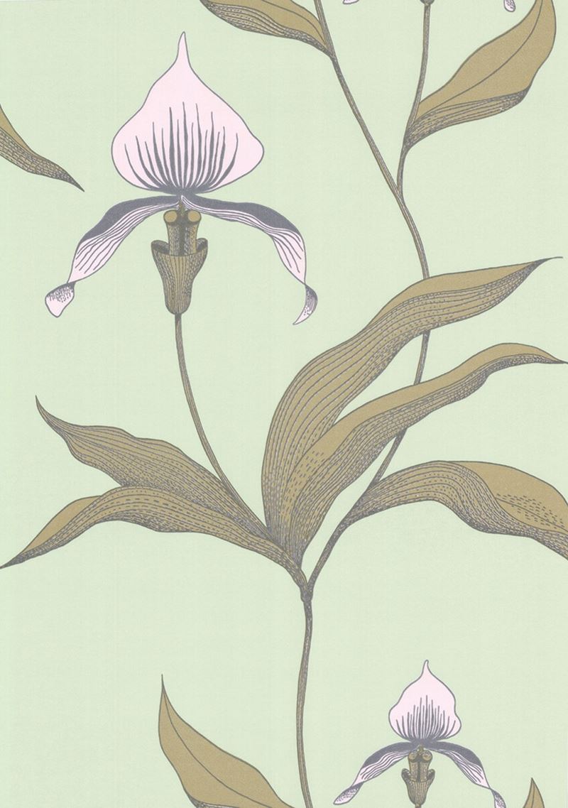Cole & Son Wallpaper 66/4028.CS Orchid Pale Gr