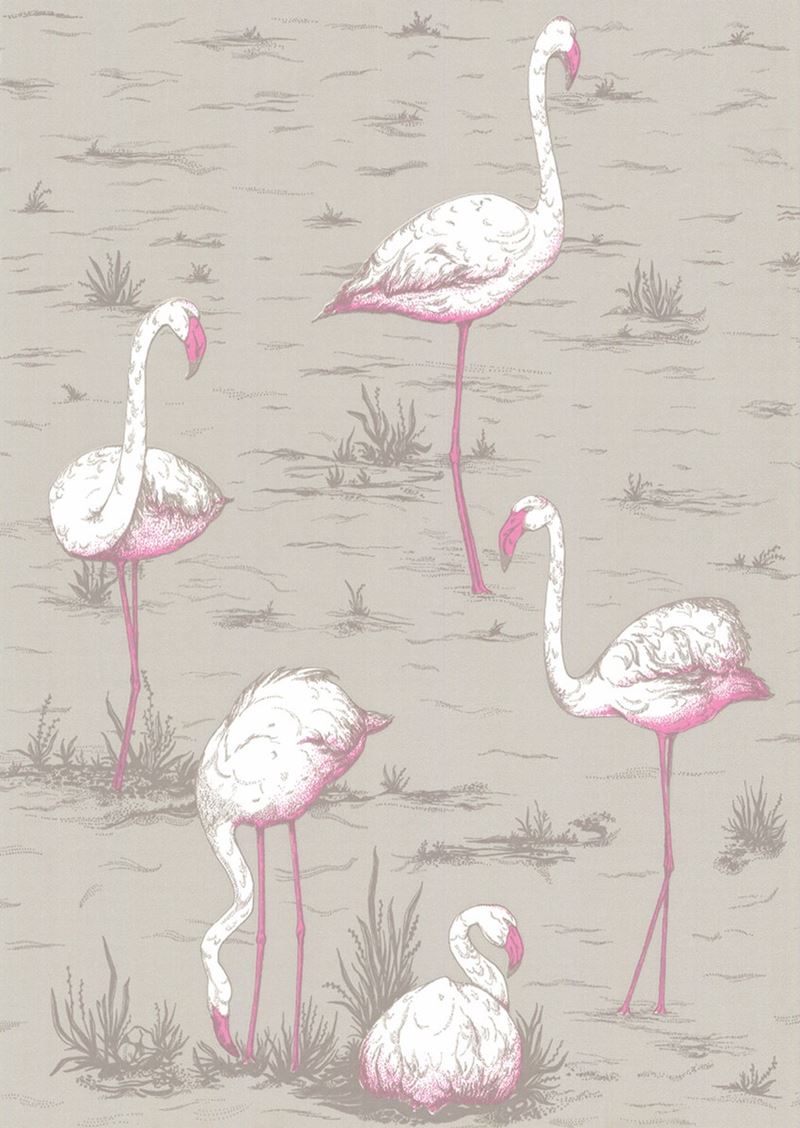Cole & Son Wallpaper 66/6042.CS Flamingos Grey