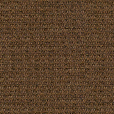 Brunschwig & Fils Fabric 8012128.68 Chi Texture Chocolate
