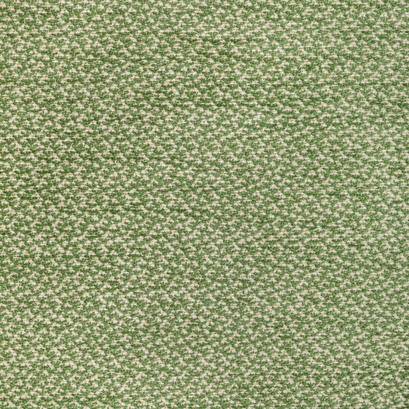 Brunschwig & Fils Fabric 8022122.3 Sasson Texture Green