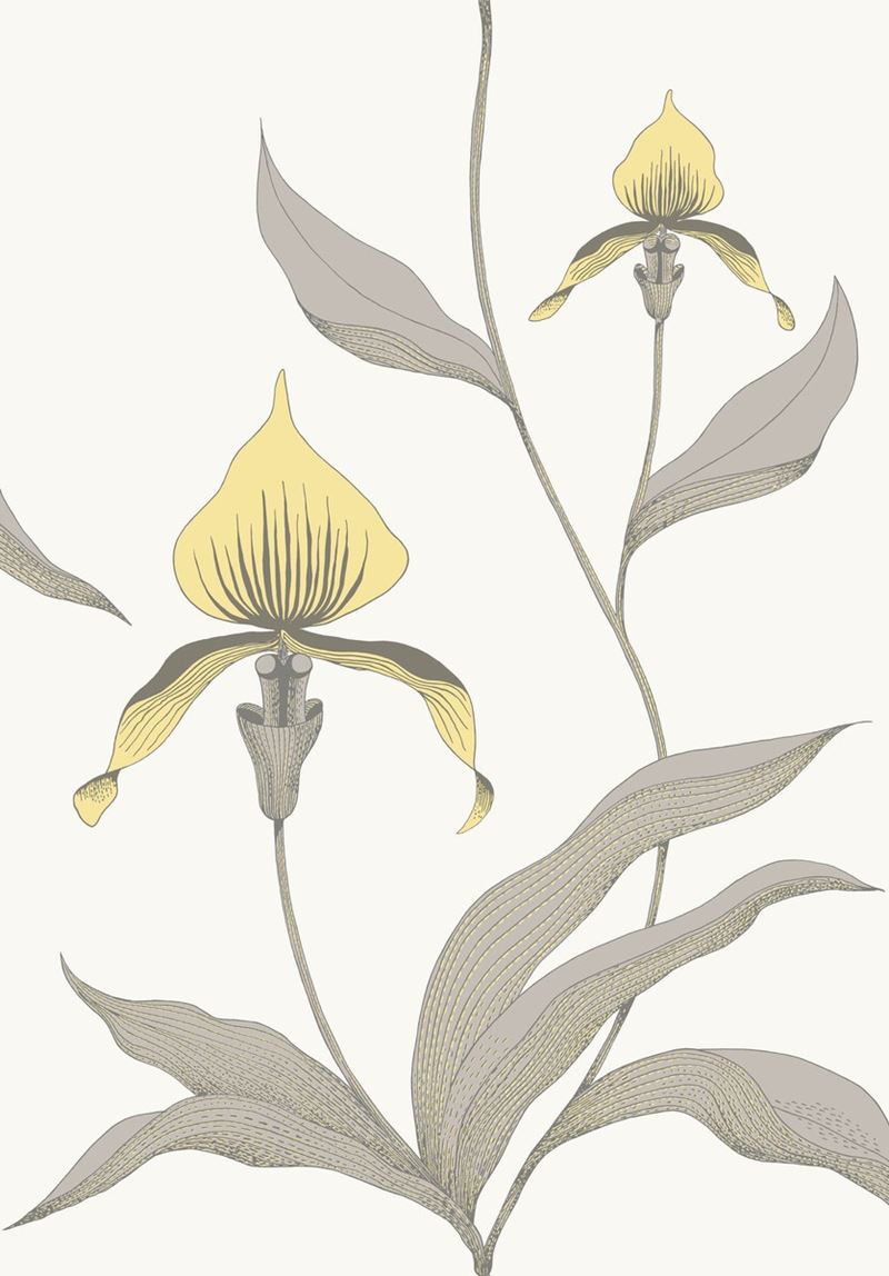 Cole & Son Wallpaper 95/10057.CS Orchid Yellow/White