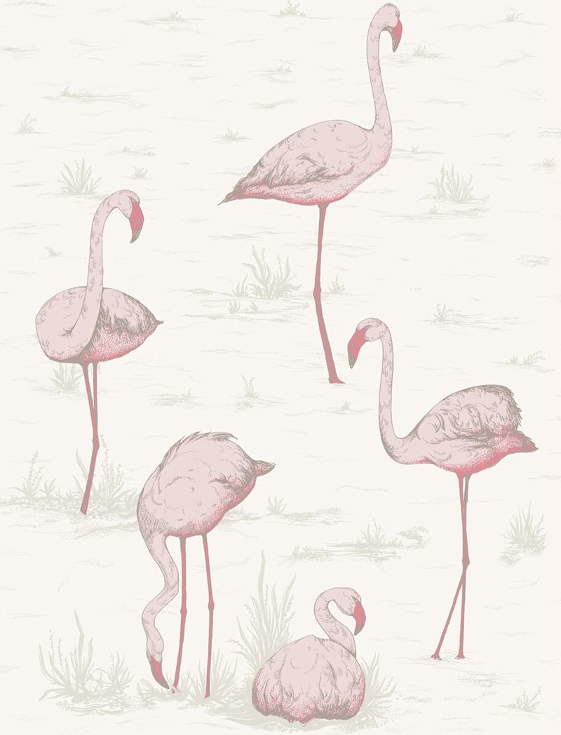 Cole & Son Wallpaper 95/8045.CS Flamingos Pink/White
