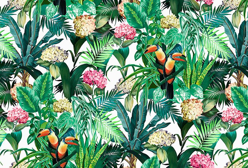 Scalamandre Fabric A9 0001BLOM Blooming Tropical Bloom