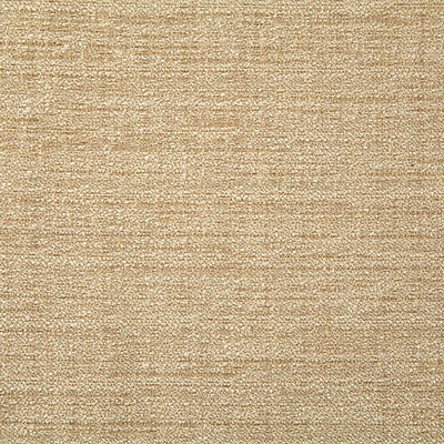 Pindler Fabric ABB016-BG01 Abbott Golden