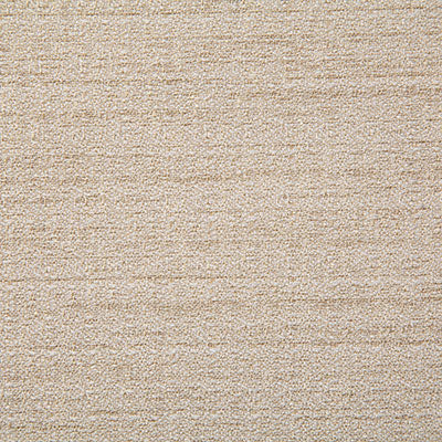 Pindler Fabric ABB016-BG06 Abbott Natural