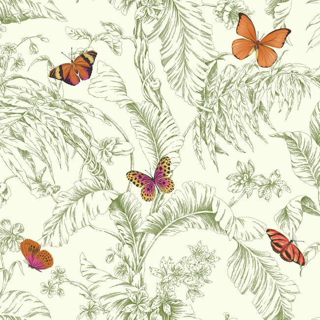 York AF2027 Ashford Toiles Papillon Wallpaper