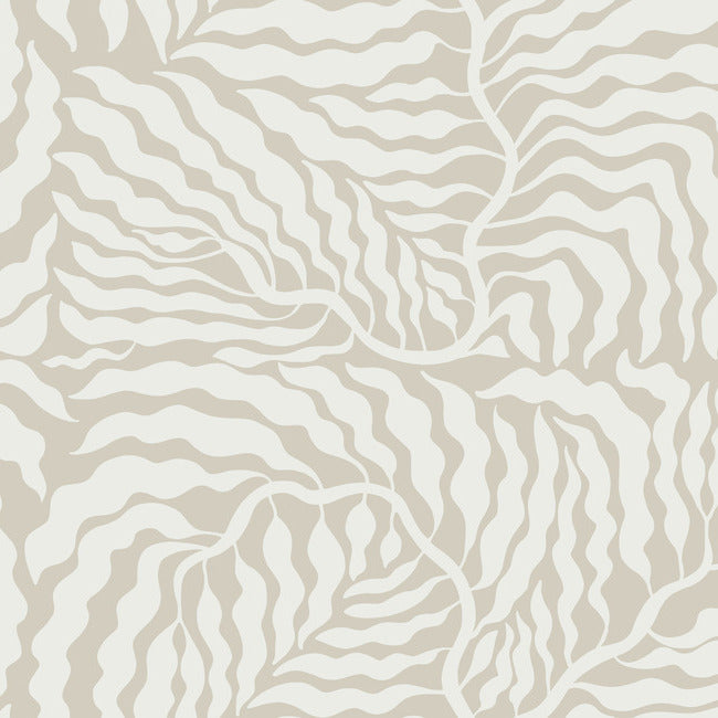 York AG2063 Taupe & White Fern Fronds Wallpaper