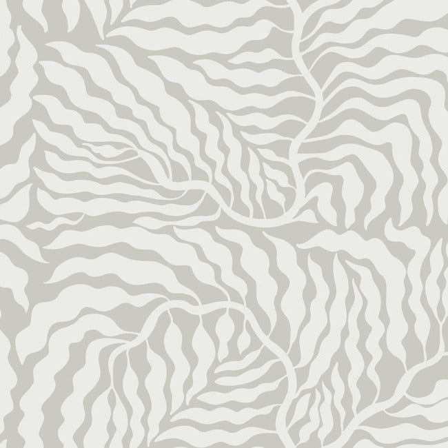 York AG2064 Grey & White Fern Fronds Wallpaper