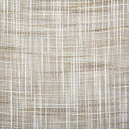 Pindler Fabric ASH055-BG01 Ashwood Sahara