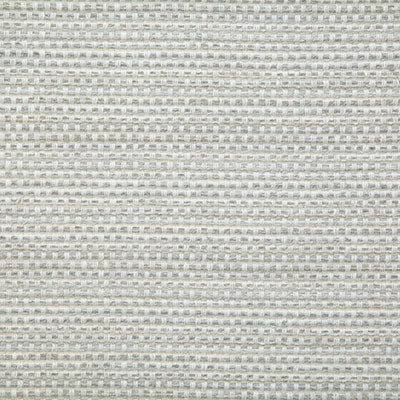Pindler Fabric BAL068-GY01 Balcony Marble