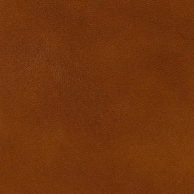 Brunschwig & Fils Fabric BR-20009.839 Old English Antiques Leather Brandy