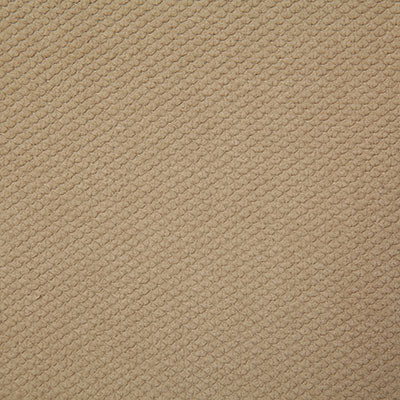 Pindler Fabric BRI084-BG09 Brightside Dune
