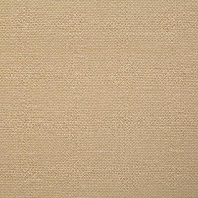 Pindler Fabric BRO077-BG09 Bronson Raffia