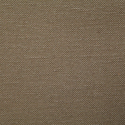 Pindler Fabric BRO077-BR01 Bronson Mushroom