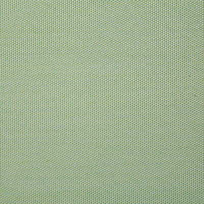 Pindler Fabric CLE026-GR09 Clearfield Palm