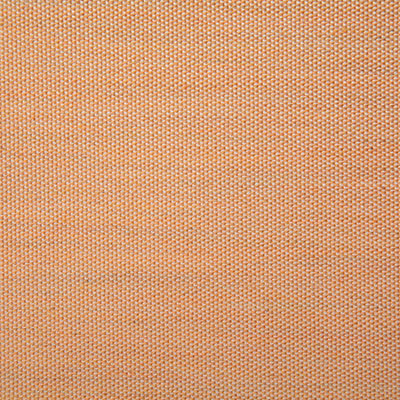 Pindler Fabric CLE026-OR01 Clearfield Papaya