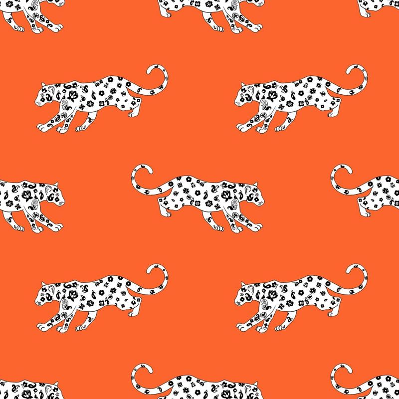 RM Coco Fabric Cool Cat Orange Slice
