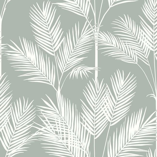 York CV4412 King Palm Silhouette Wallpaper