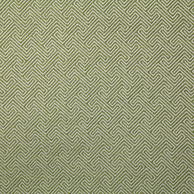 Pindler Fabric DOM021-GR09 Domain Leaf