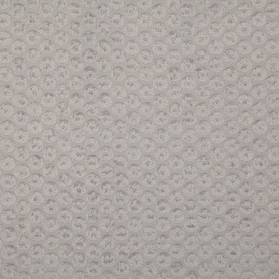 Pindler Fabric DOT010-GY01 Dotted Smoke