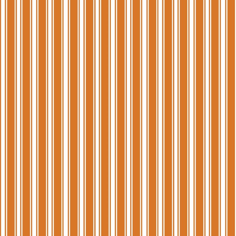 RM Coco Fabric Double Dutch Stripe Reversal Orange Slice