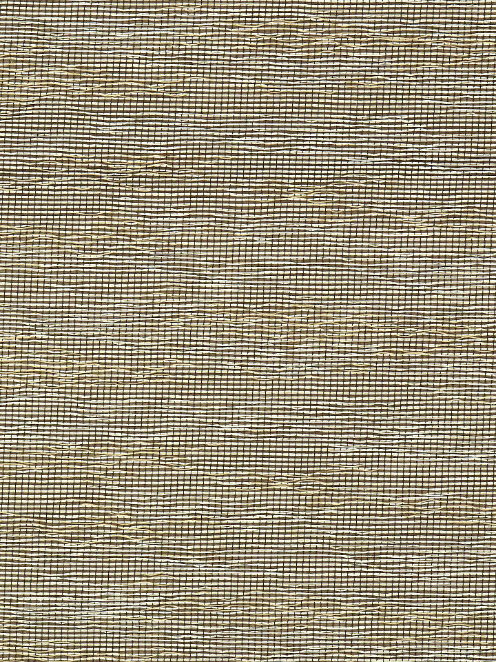 Scalamandre Fabric E7 0025UNTI Untitled Sheer Caramel