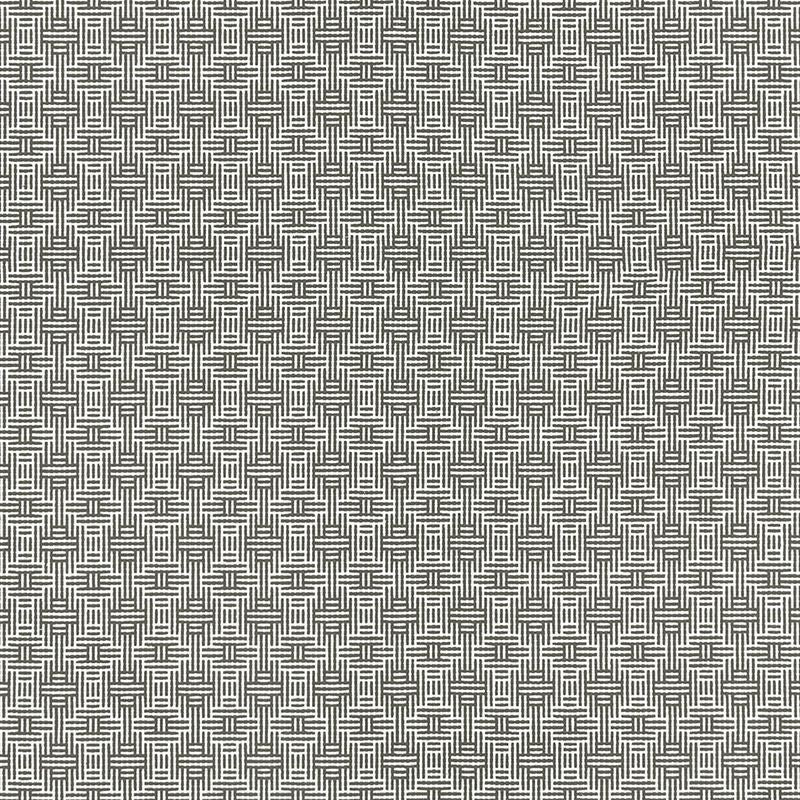 Clarke and Clarke Fabric F1438-1 Aztec Charcoal