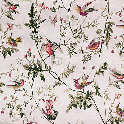 Cole & Son Fabric F62/1001.CS Hummingbirds Cotton Print Classic Multi