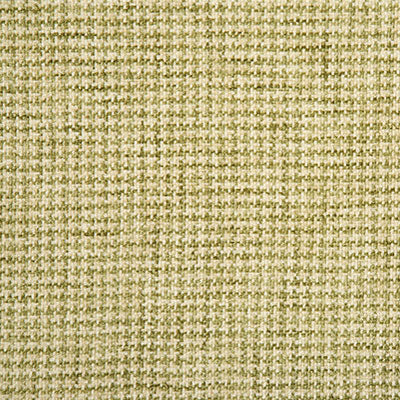 Pindler Fabric FAR028-GR01 Farley Spring