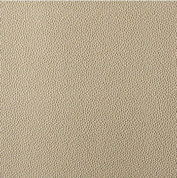 Kravet Contract Fabric FETCH.16 Fetch Radiant
