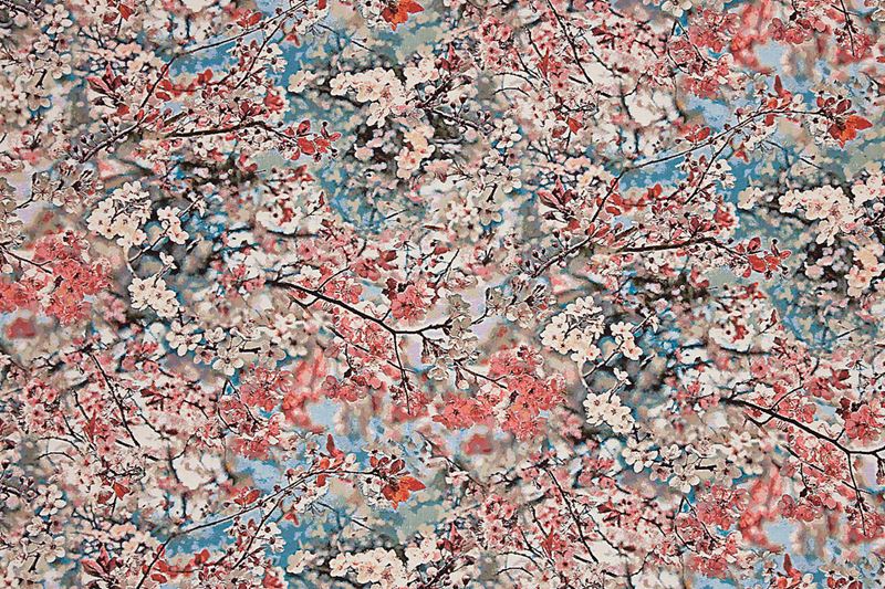 Scalamandre Fabric H0 00033468 Sakura Tapestry Guimauve